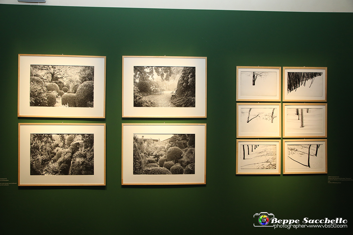 VBS_1193 - Castello di Miradolo - Mostra Oltre il giardino l'Abbecedario di paolo Pejrone.jpg